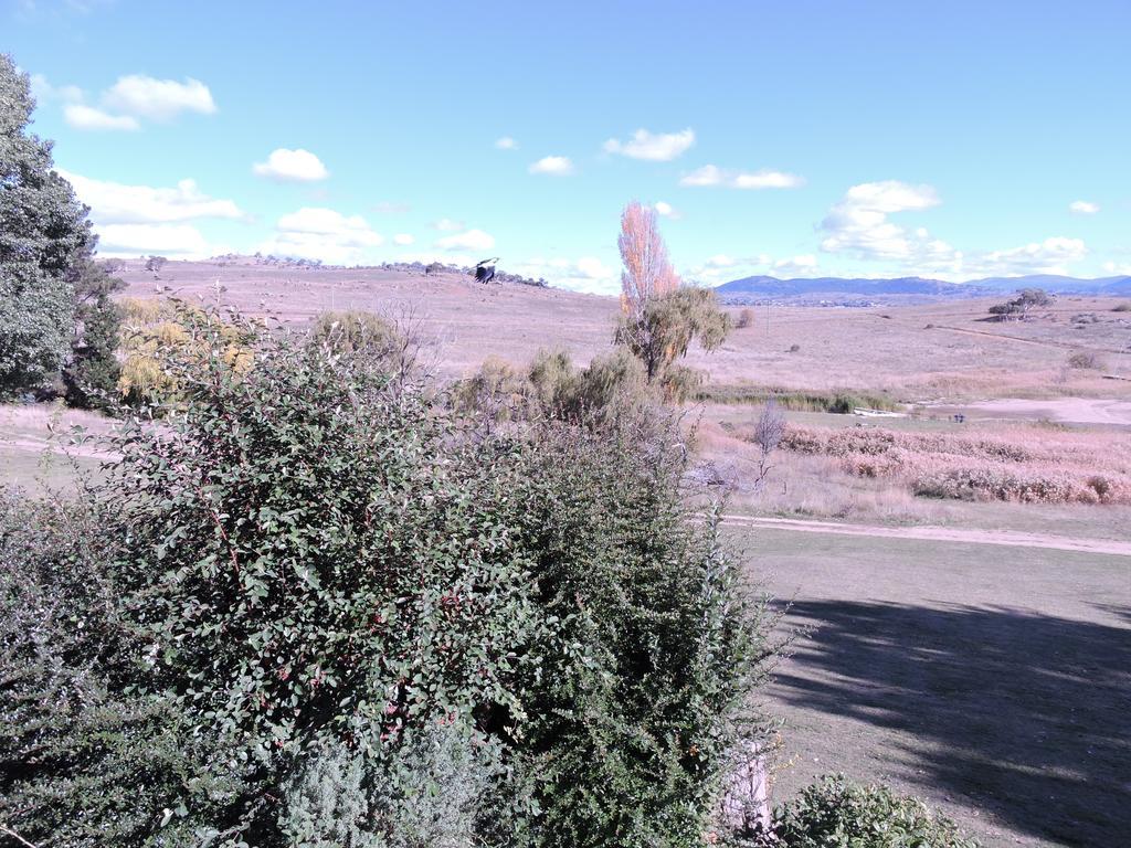 Siesta Villa Jindabyne Exterior photo
